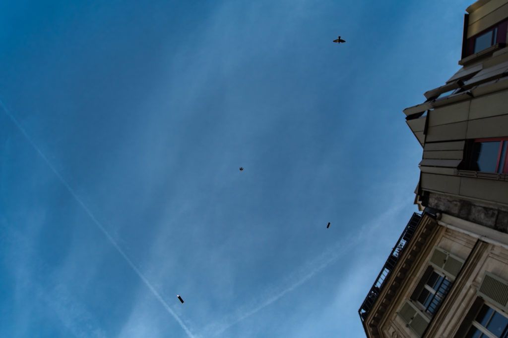 Oiseaux ou Lacrymo?