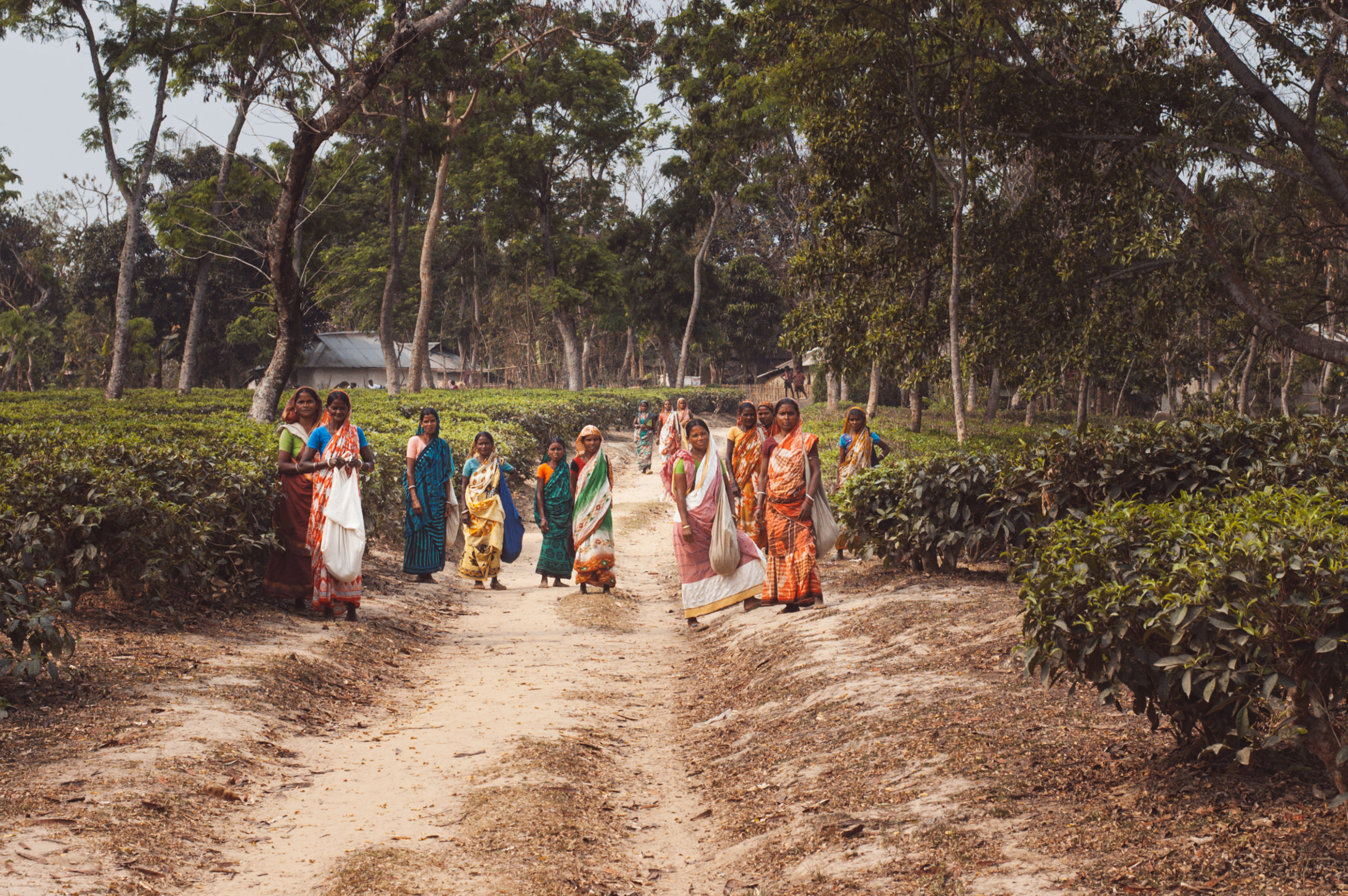 Les femmes de Finley