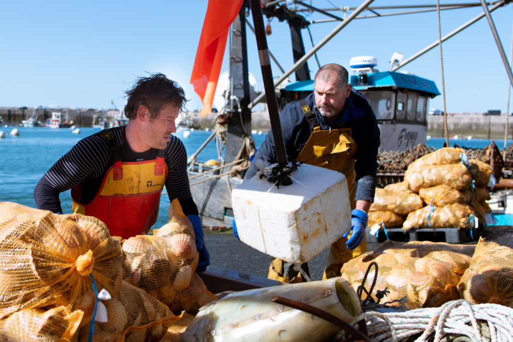 Laurent et Eddy débarquen les sacs de coquilles Saint Jacques pour qu'elles soient vendues par la criée du port d'Erquy le lundi 12 avril 2021, lors de la dernière pêche de la saison.